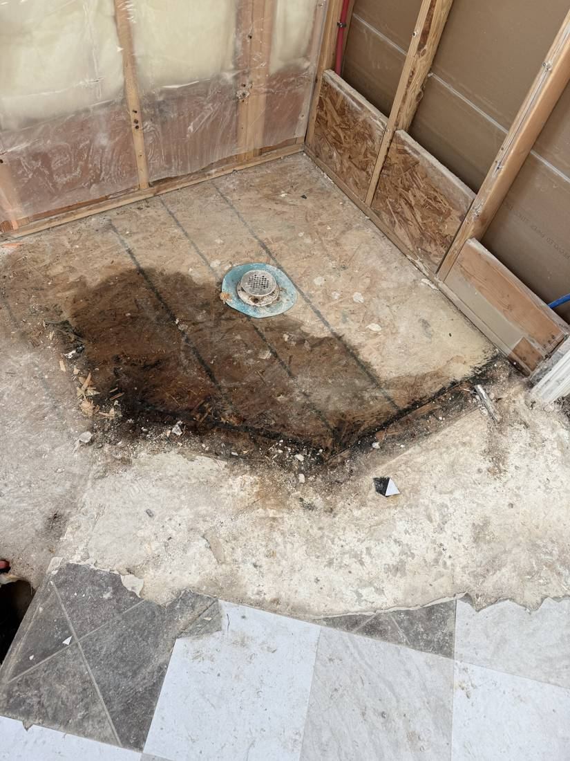 Subfloor around the shower drain, dark with moisture and rot
